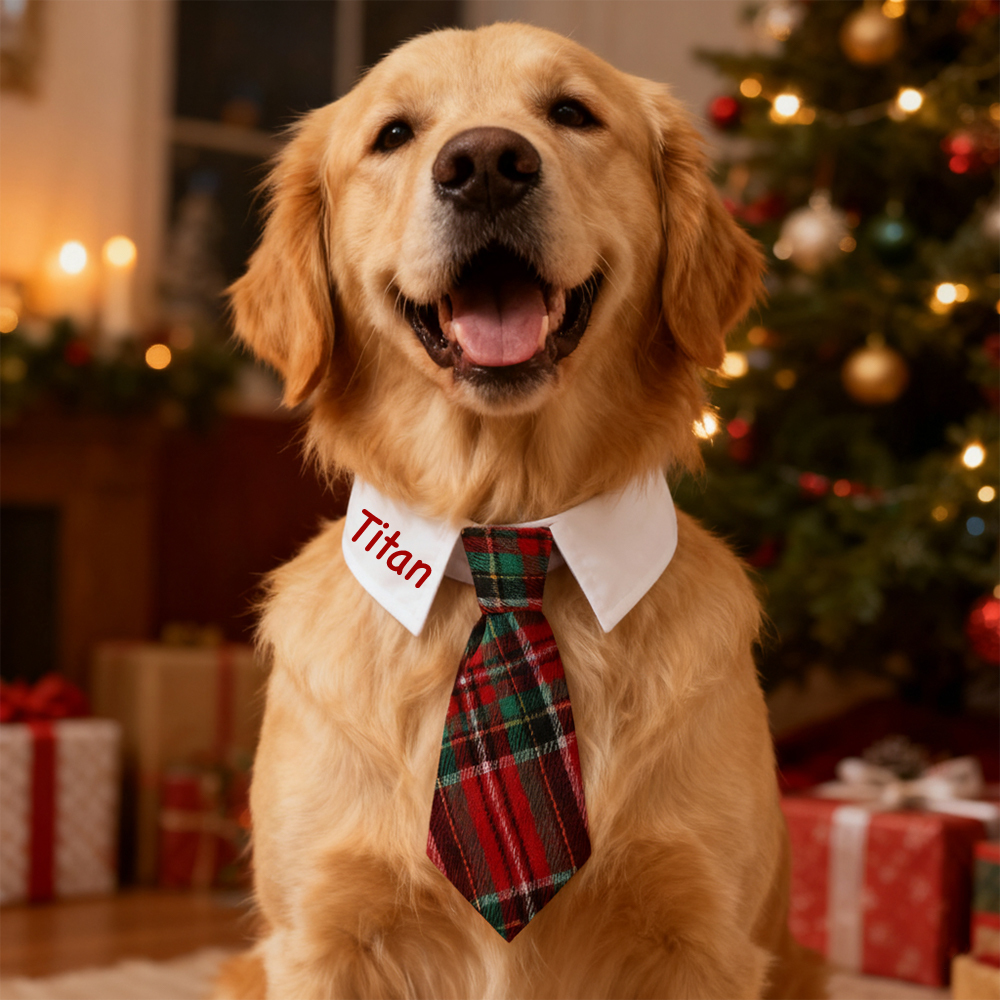Cravatta Natalizia Con Nome Personalizzato, Regalo Per Gli Amanti Degli Animali Domestici