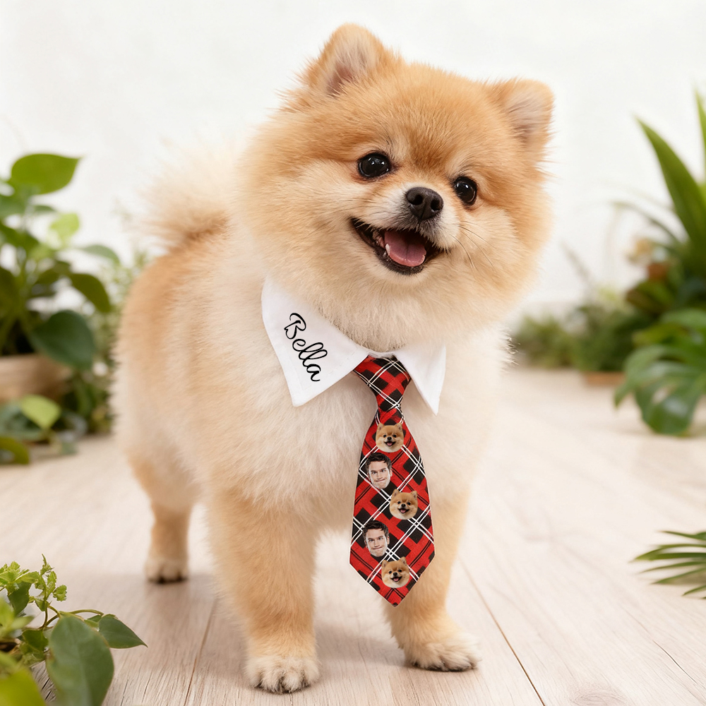For Pets