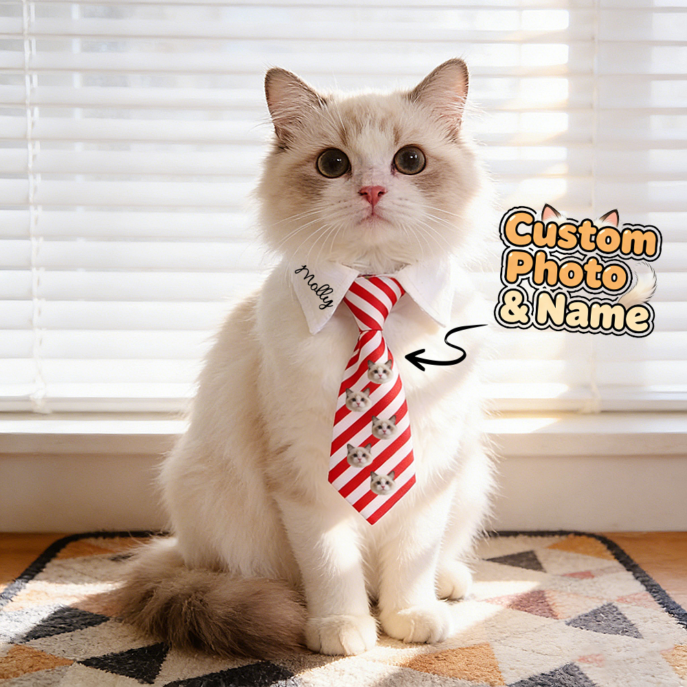 Cravatta Personalizzata Con Nome Per Animali Domestici: Perfetta Come Regalo Quotidiano Per Gli Amanti Degli Animali