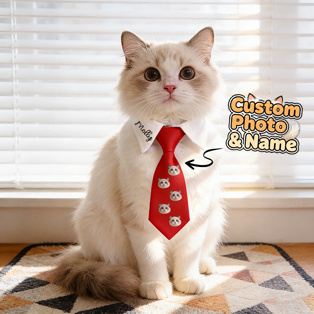 Cravatta Personalizzata Con Nome Per Animali Domestici: Perfetta Come Regalo Quotidiano Per Gli Amanti Degli Animali