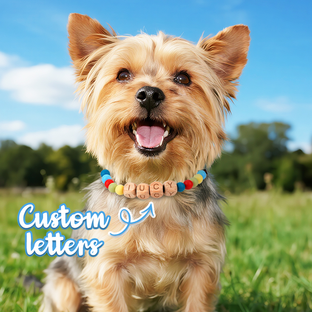 Personalized Pet Dog Cat Name Beaded Collar Adjustable Buckle Custom Pet Necklace Gift For Pet Lovers