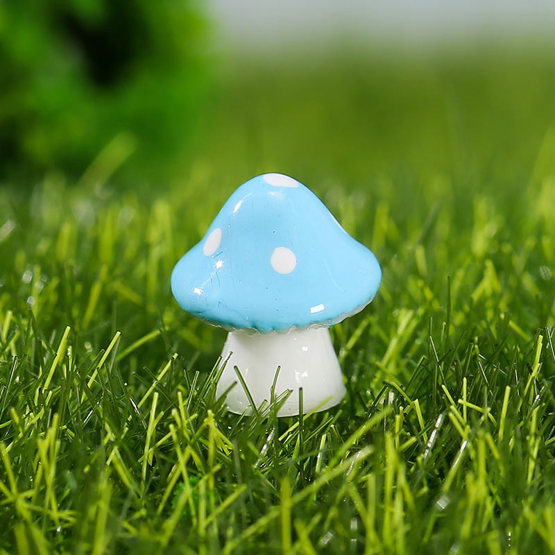 Fungo Blu-1,1 * 1 Cm
