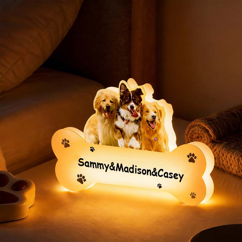 Lampada Led Personalizzata Con Ritratto Di Animale Domestico, Foto E Nome, In Acrilico, Notturna
