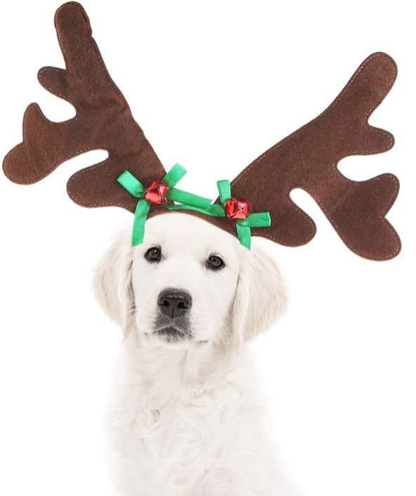 Fascia Per Capelli Natalizia Con Corna Di Renna Per Animali Domestici, Fascia Natalizia Per Gatti E Cani, Fascia Per Capelli Natalizia Con Corna Di Renna E Campanellino Per Animali Domestici