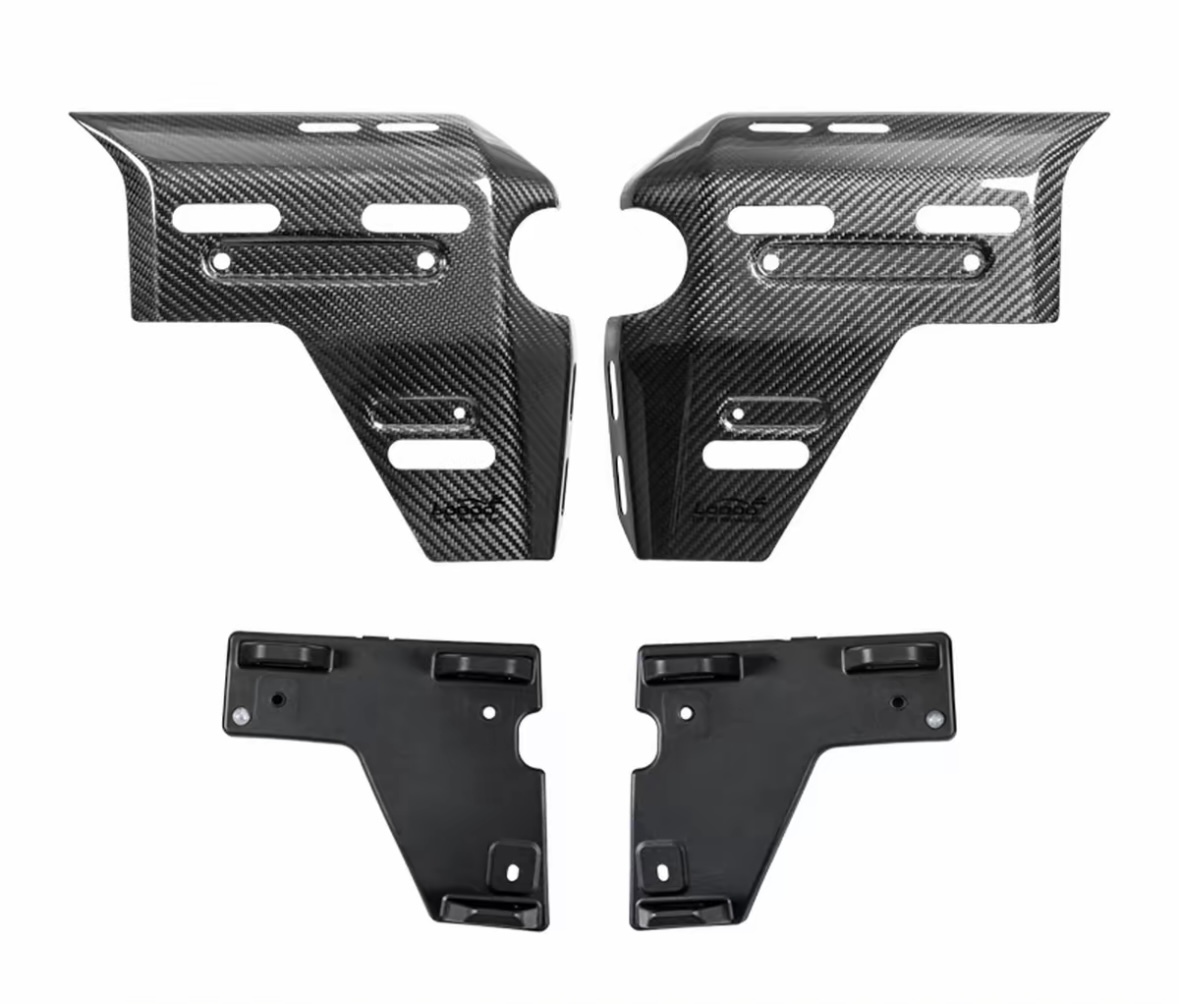 Carbon Fiber Radiator Protection for BMW R1300GS ADV