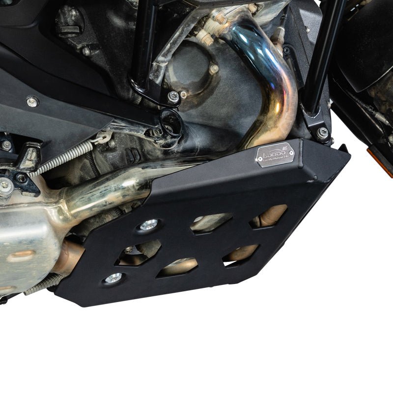 BMW R1300GS Engine Guard