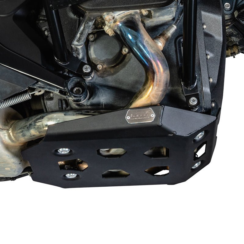 BMW R1300GS Engine Guard