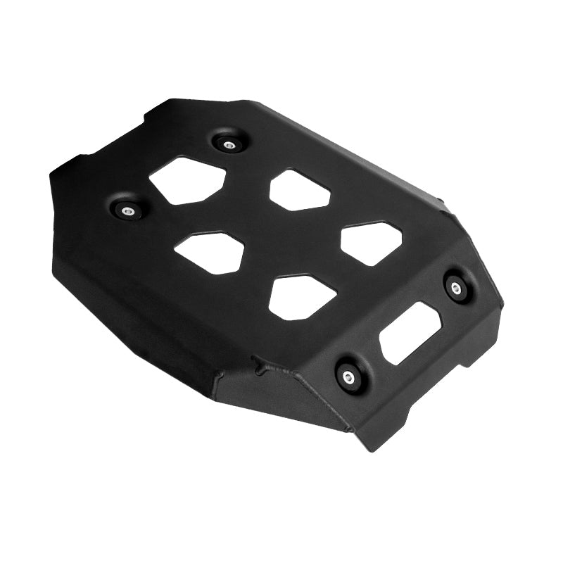 BMW R1300GS Engine Guard