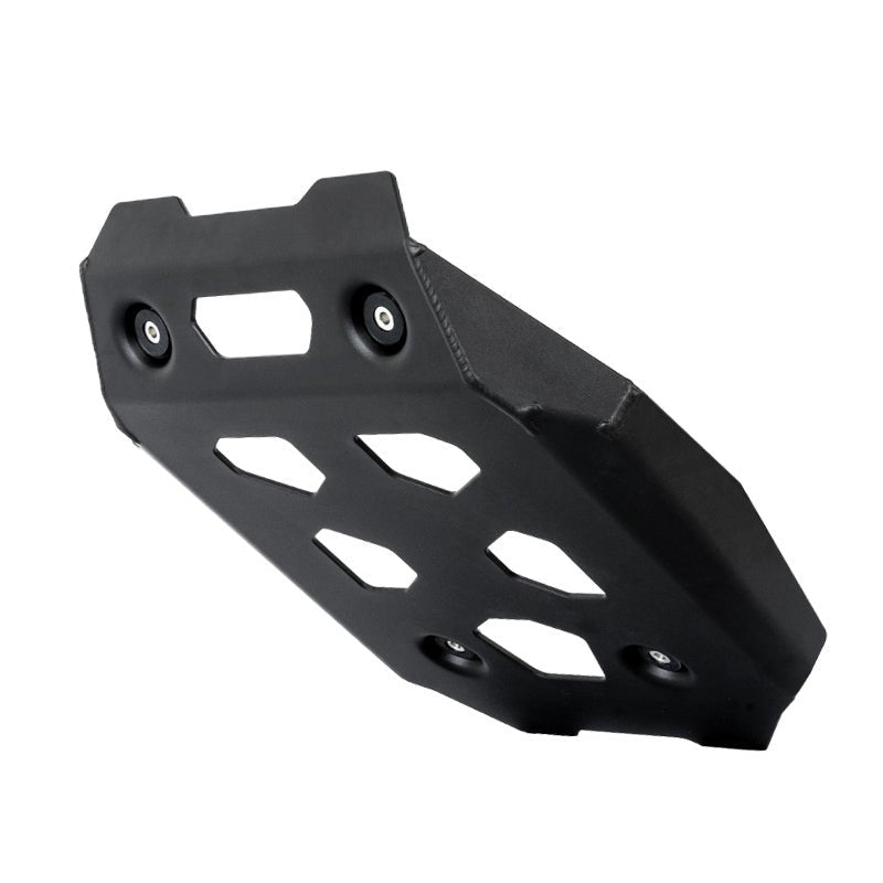 BMW R1300GS Engine Guard