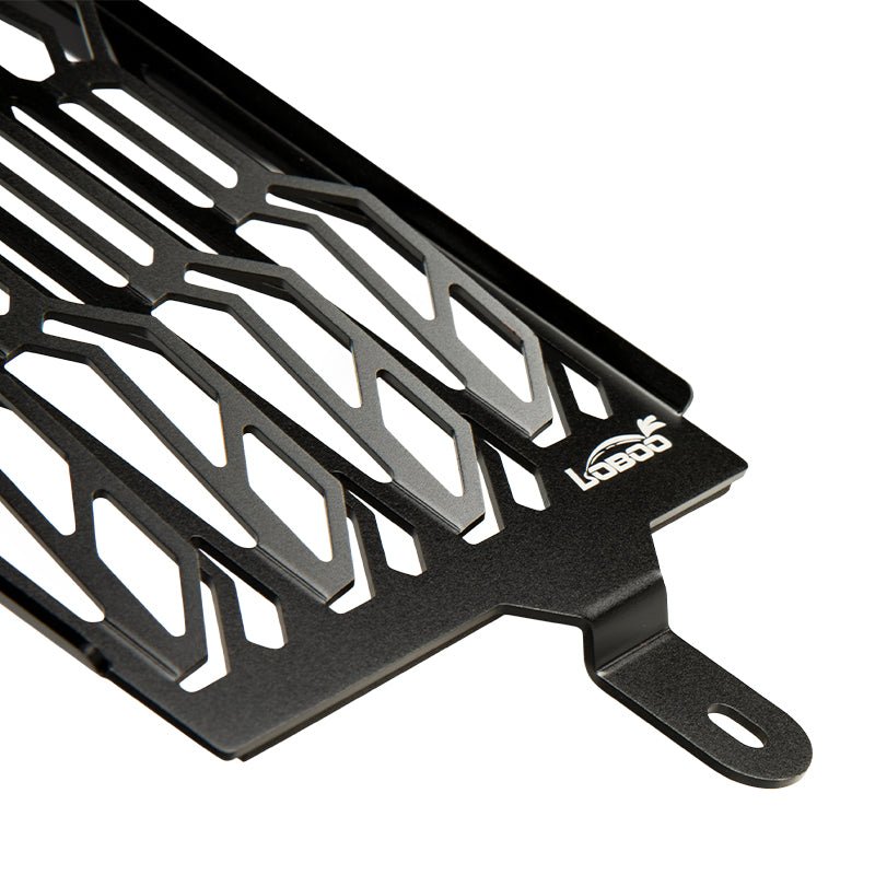 BMW R1250GS/1250GS ADV Radiator Guard