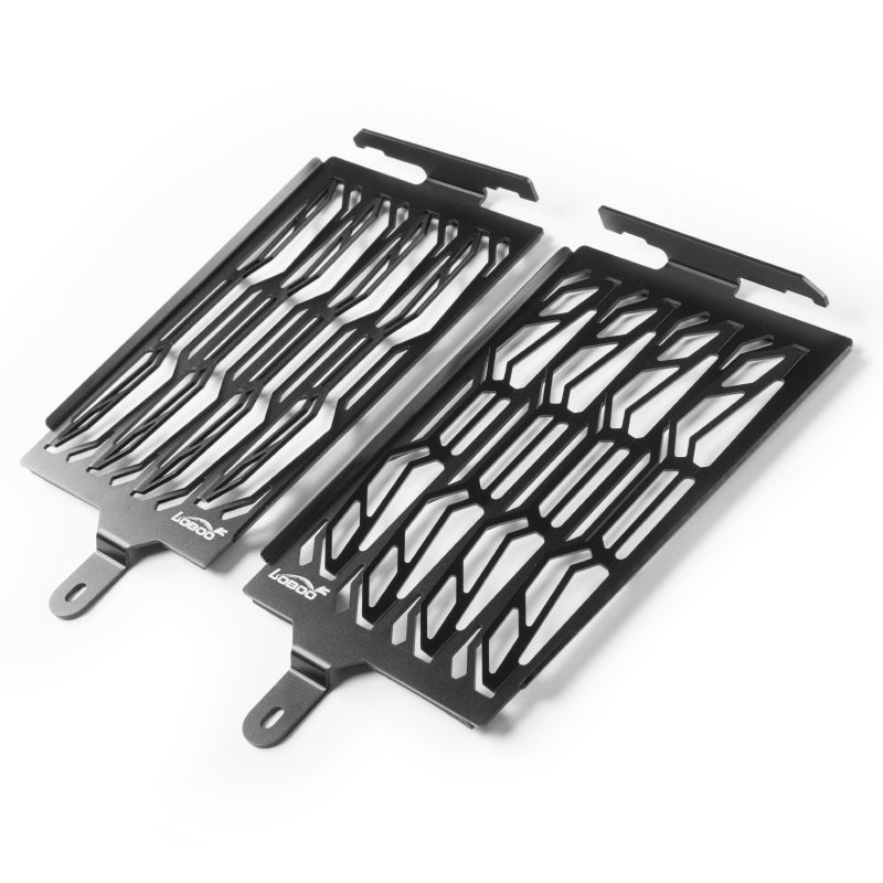 BMW R1250GS/1250GS ADV Radiator Guard