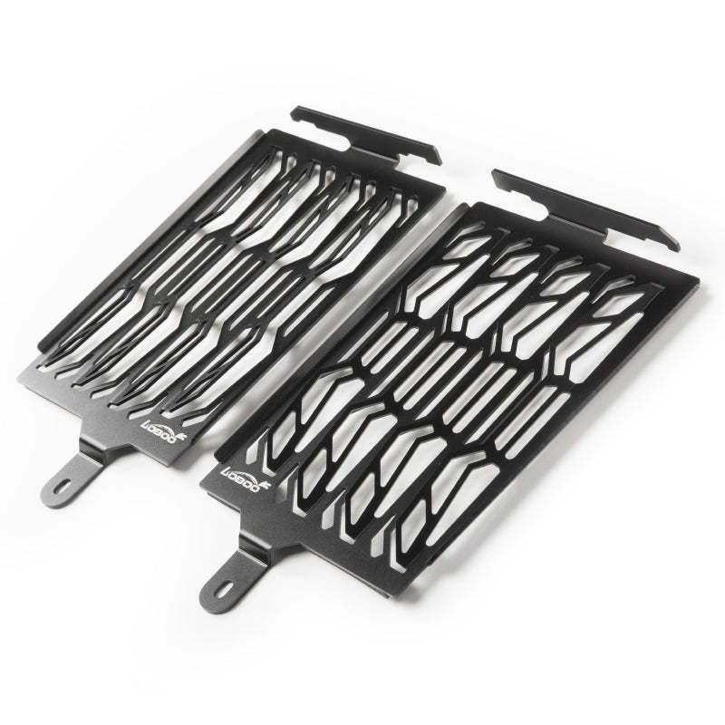 BMW R1250GS/1250GS ADV Radiator Guard