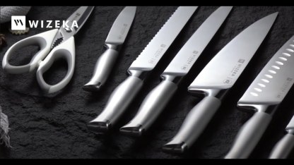 Kitchen Knife Set with Block: 15PCS Easy-Care Knife Block Set with Sharpener, One-Piece German Stainless Steel Kitchen Knives, Silver Wings Series
