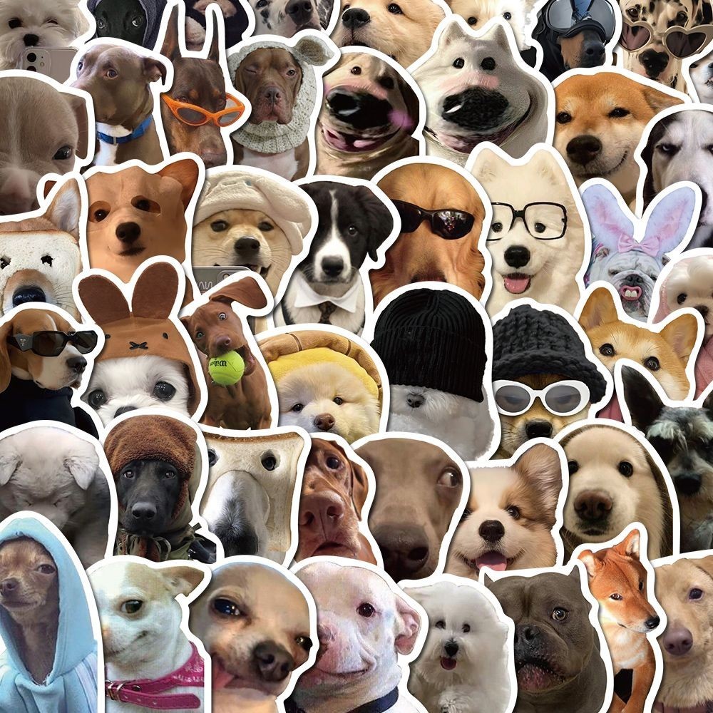 Funny dog meme stickers 50pcs