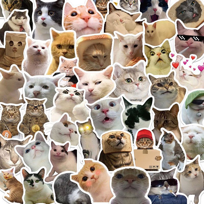 Funny cat meme stickers 50pcs