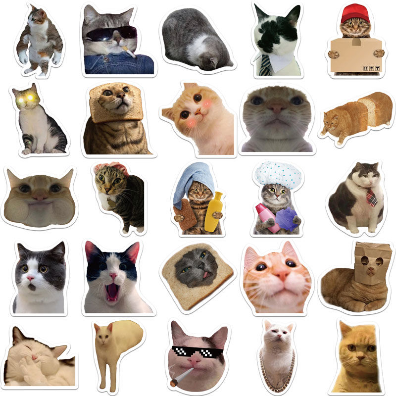 Funny cat meme stickers 50pcs