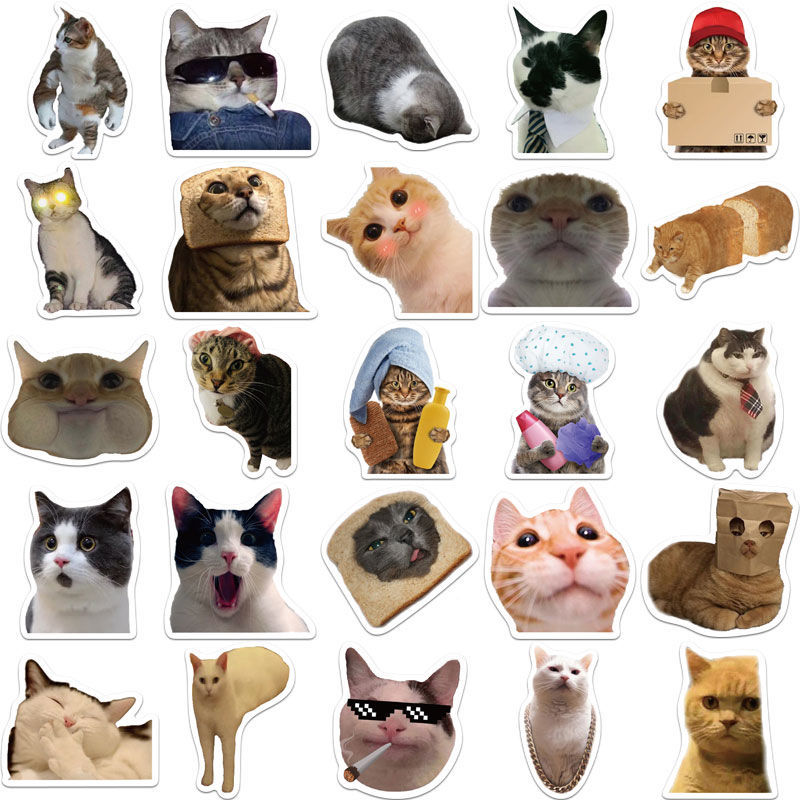 Funny cat meme stickers 50pcs