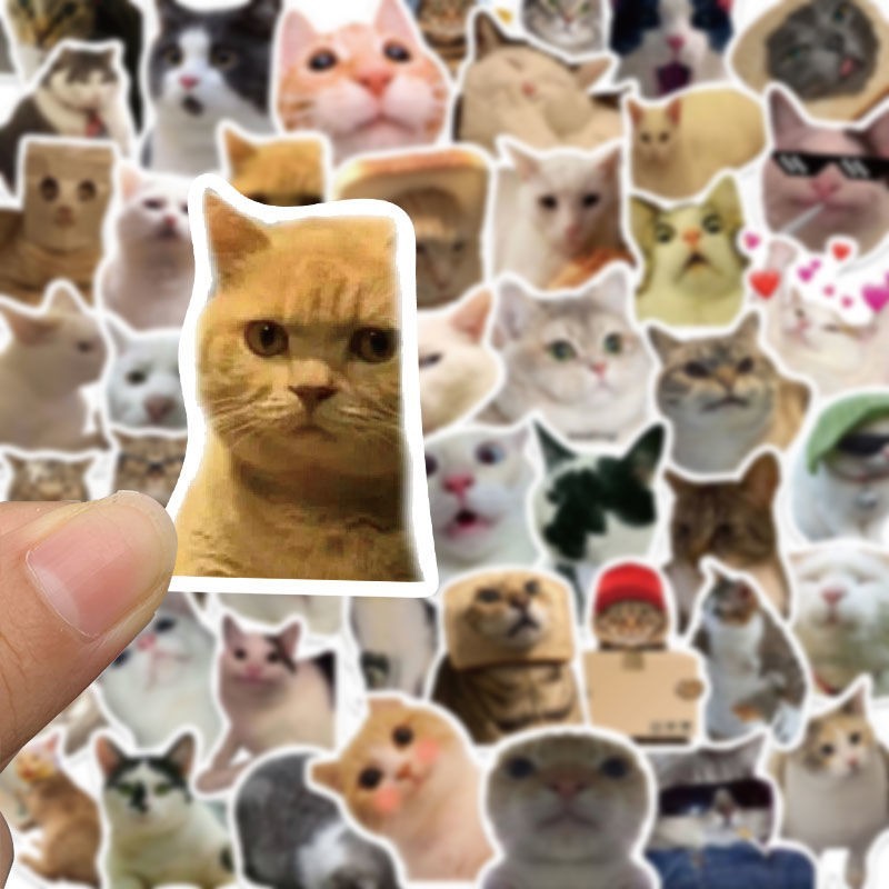 Funny cat meme stickers 50pcs