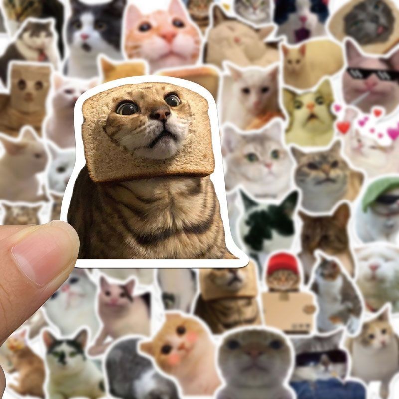 Funny cat meme stickers 50pcs