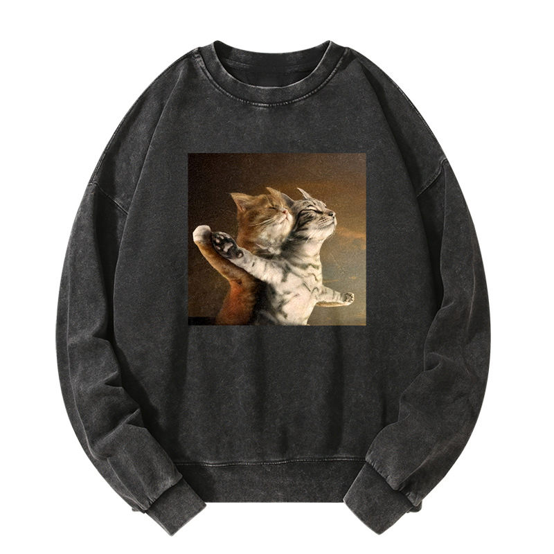 Titanic Paw Promise Washed Sweatshirt