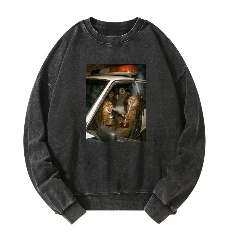 Party Patrol Cats Washed Sweatshirt