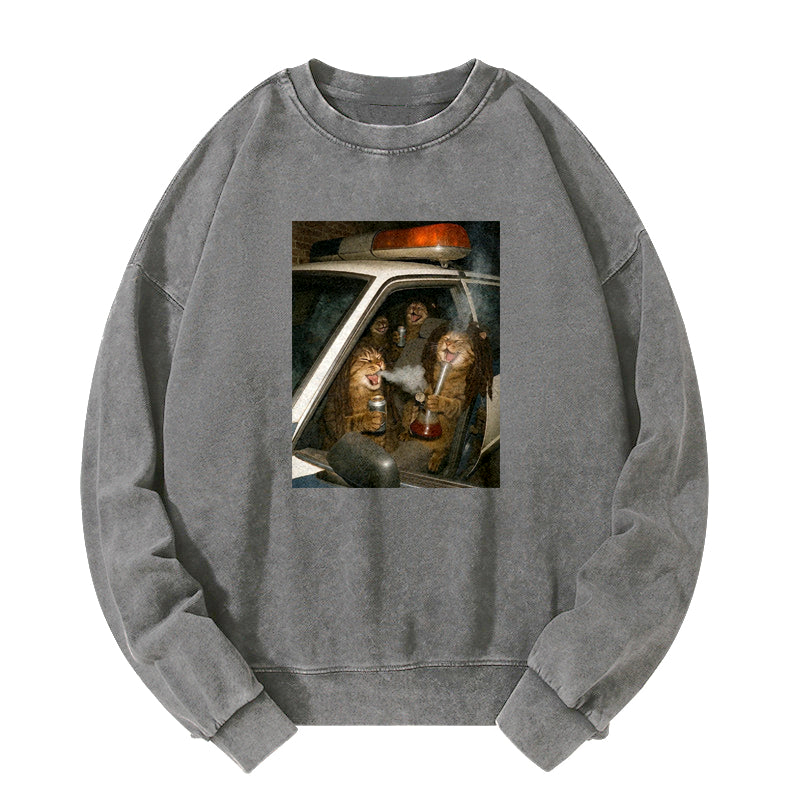 Party Patrol Cats Washed Sweatshirt
