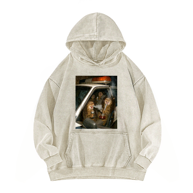 Party Patrol Cats Muse Washed Hoodie