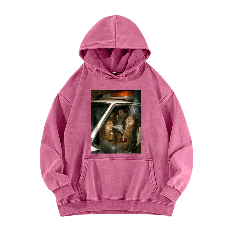 Party Patrol Cats Muse Washed Hoodie