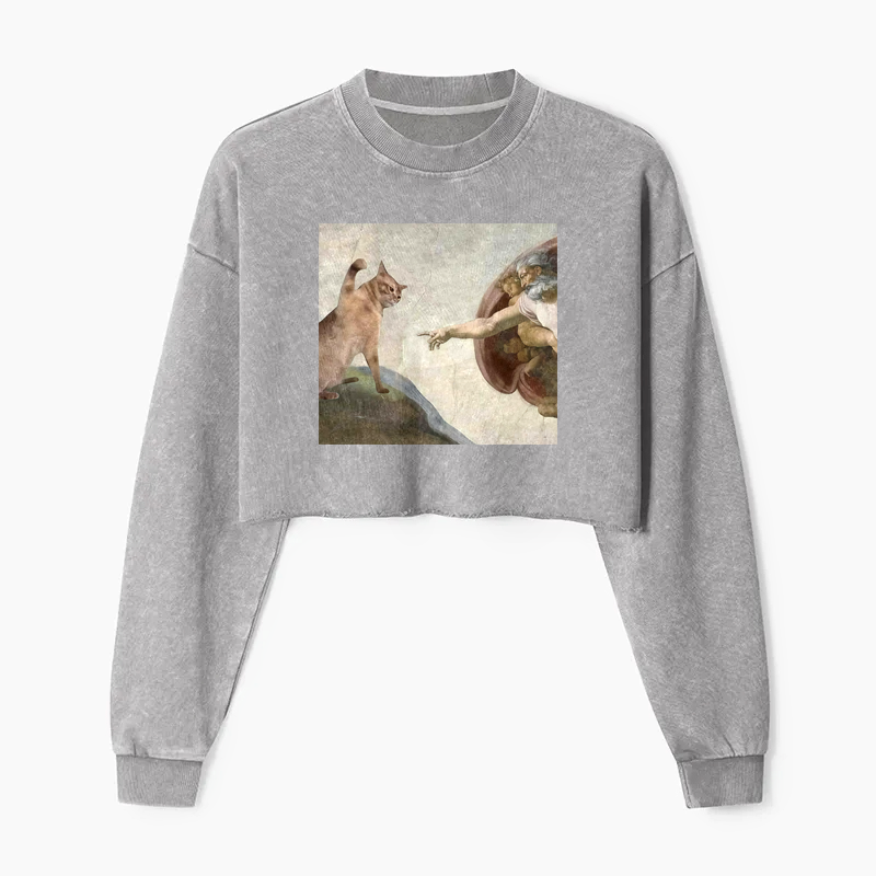 The Creation of Cat Washed Crop Sweatshirt