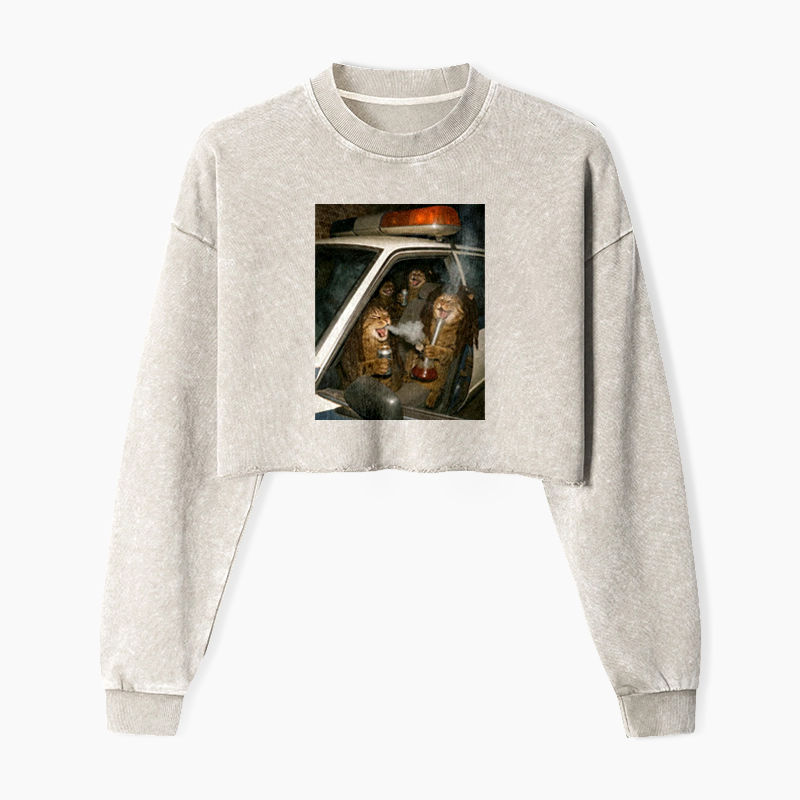 Party Patrol Cats Washed Crop Sweatshirt