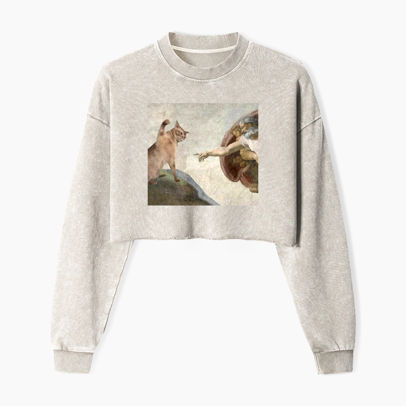 The Creation of Cat Washed Crop Sweatshirt