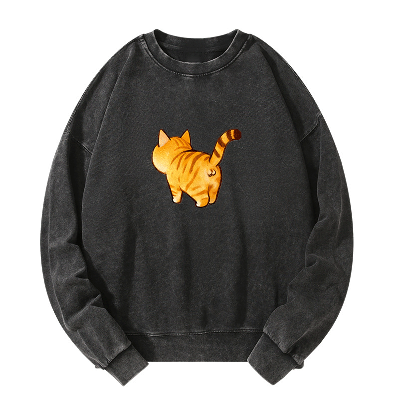 Tail of Curiosity Washed Sweatshirt