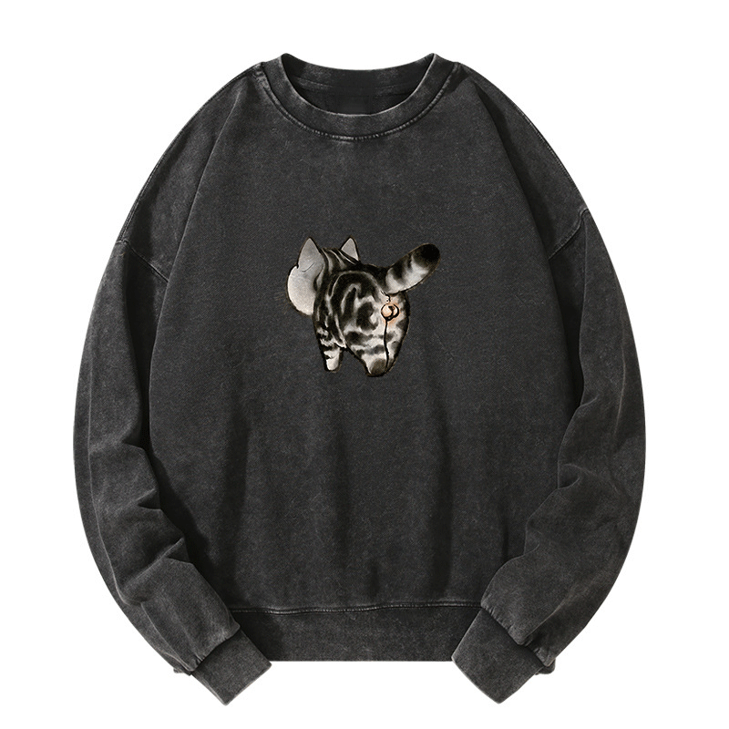Tail of Curiosity Washed Sweatshirt