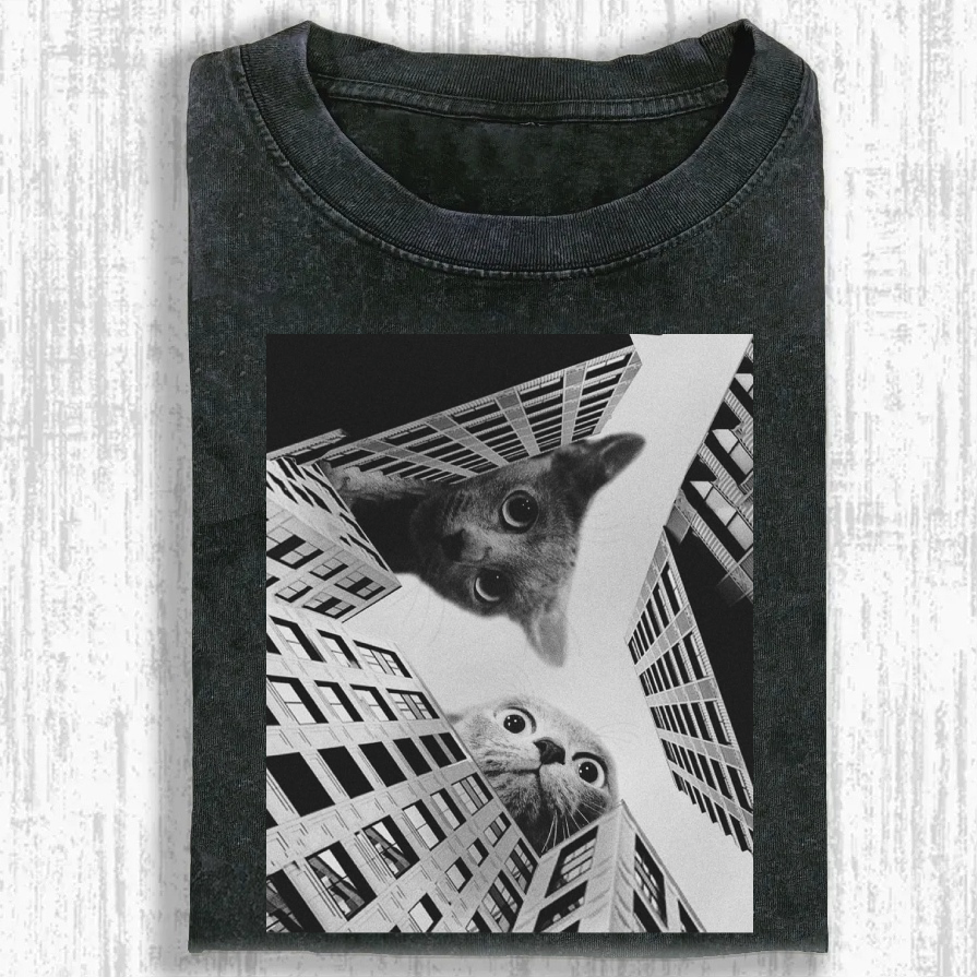 “Feline Rule Begins” Washed T-shirt