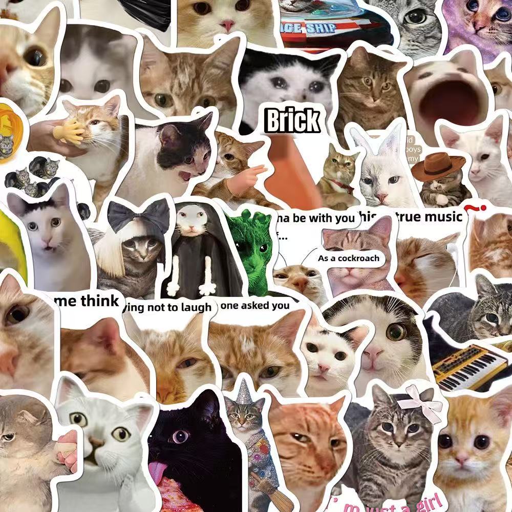 Wacky cat meme Stickers 100pcs