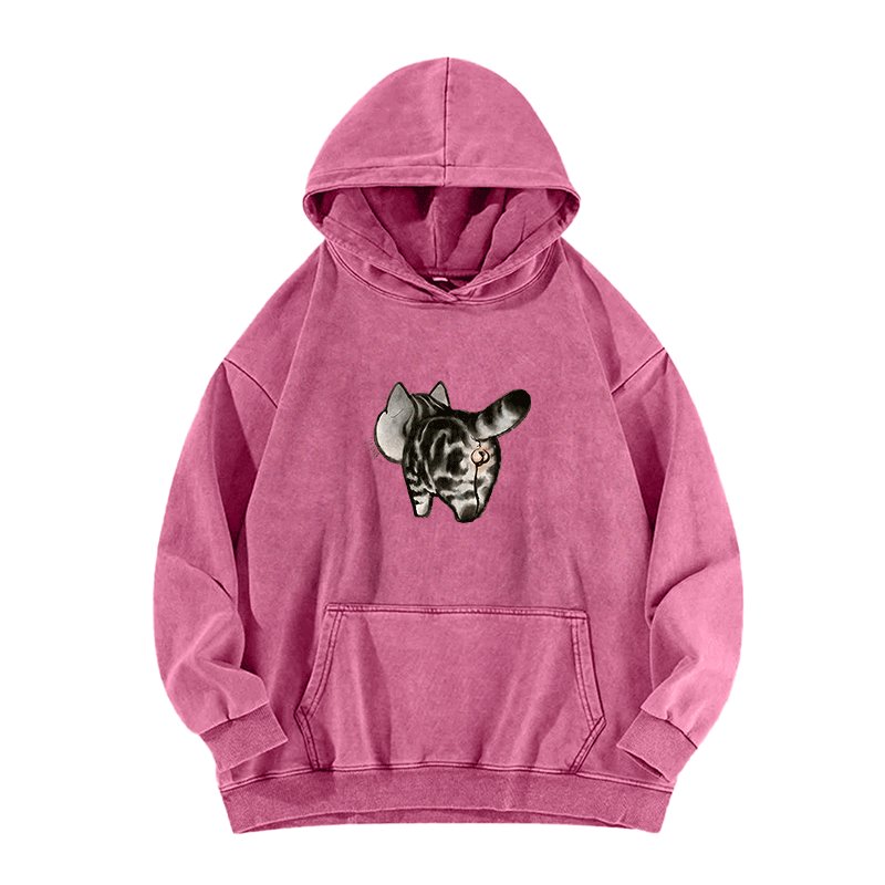 Tail of Curiosity Washed Hoodie