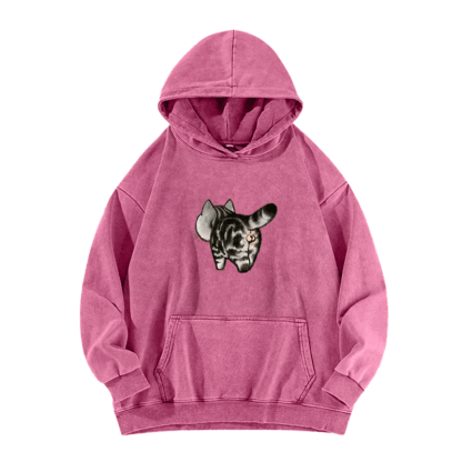 Tail of Curiosity Washed Hoodie