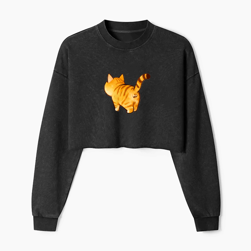 Tail of Curiosity Washed Crop Sweatshirt