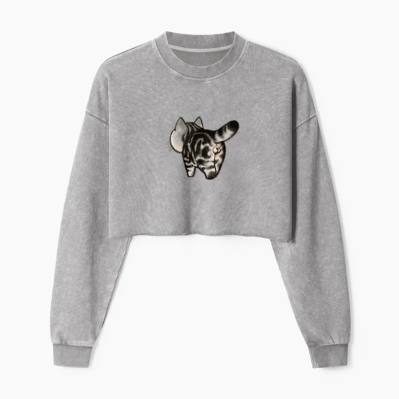 Tail of Curiosity Washed Crop Sweatshirt