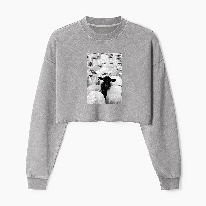 Black Sheep Washed Crop Sweatshirt