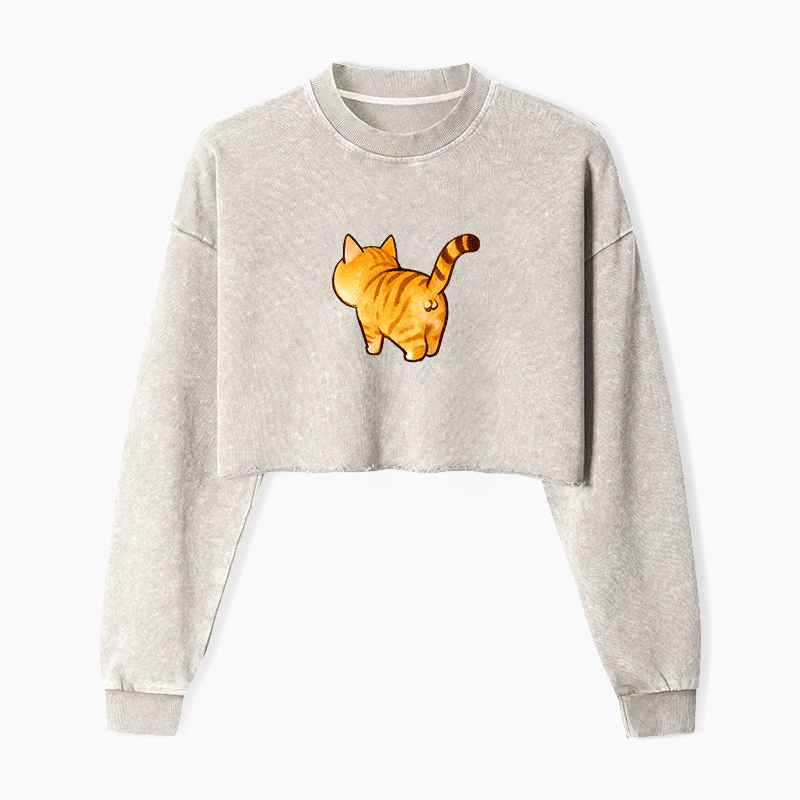 Tail of Curiosity Washed Crop Sweatshirt