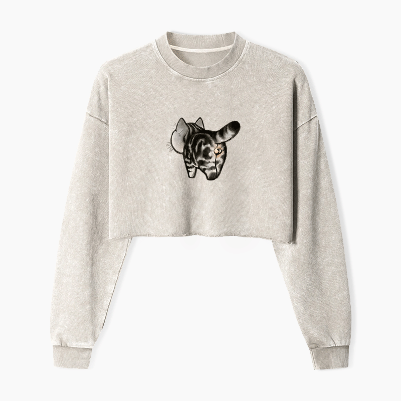 Tail of Curiosity Washed Crop Sweatshirt