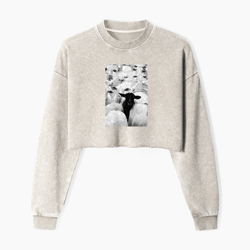 Black Sheep Washed Crop Sweatshirt