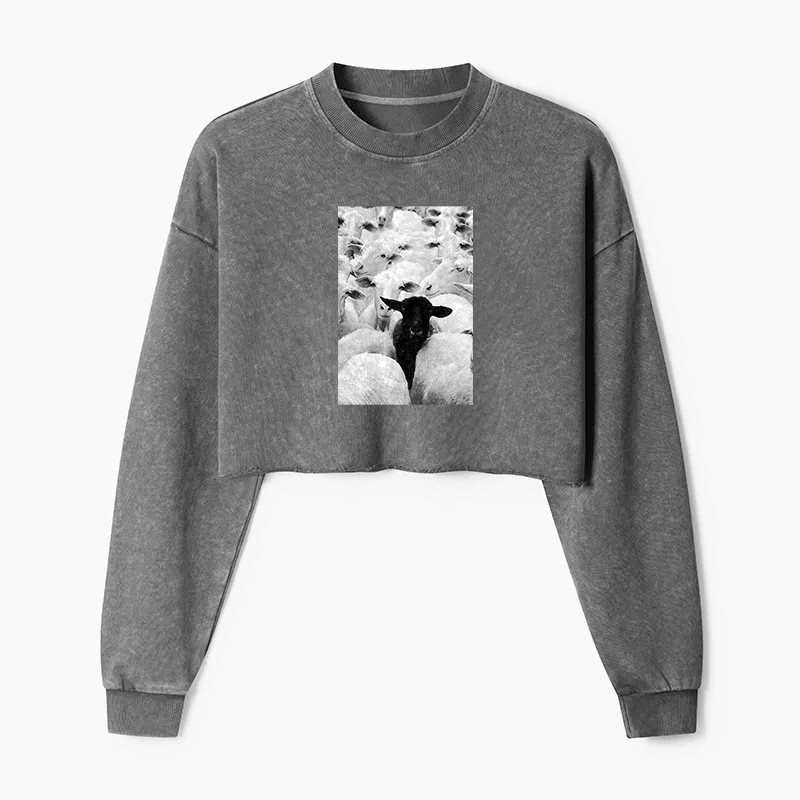 Black Sheep Washed Crop Sweatshirt