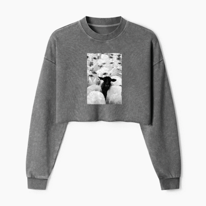 Black Sheep Washed Crop Sweatshirt