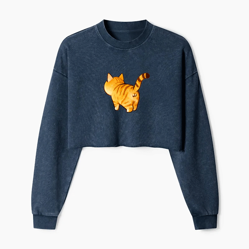 Tail of Curiosity Washed Crop Sweatshirt