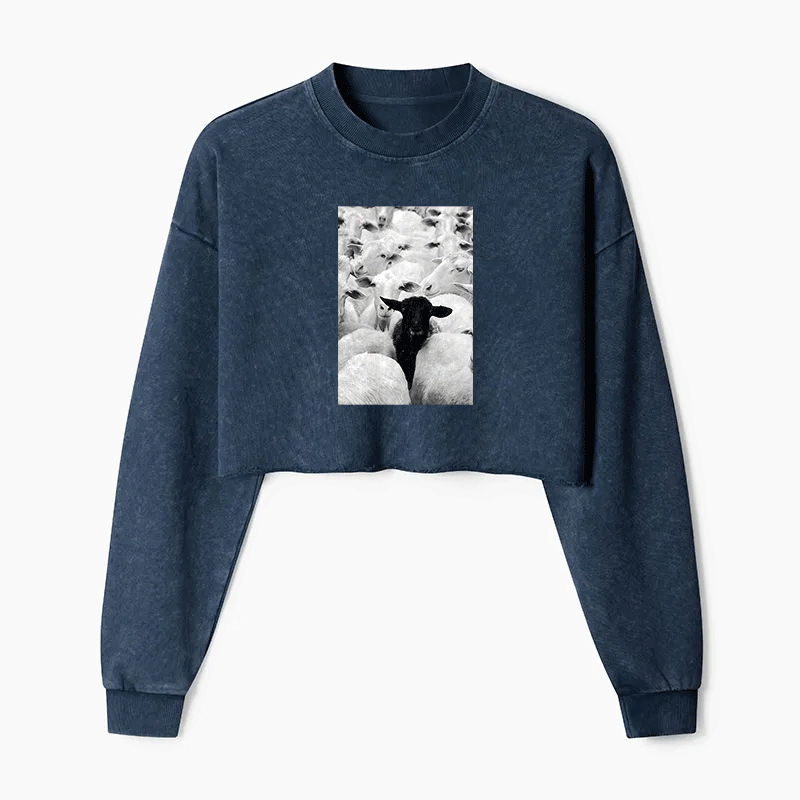 Black Sheep Washed Crop Sweatshirt