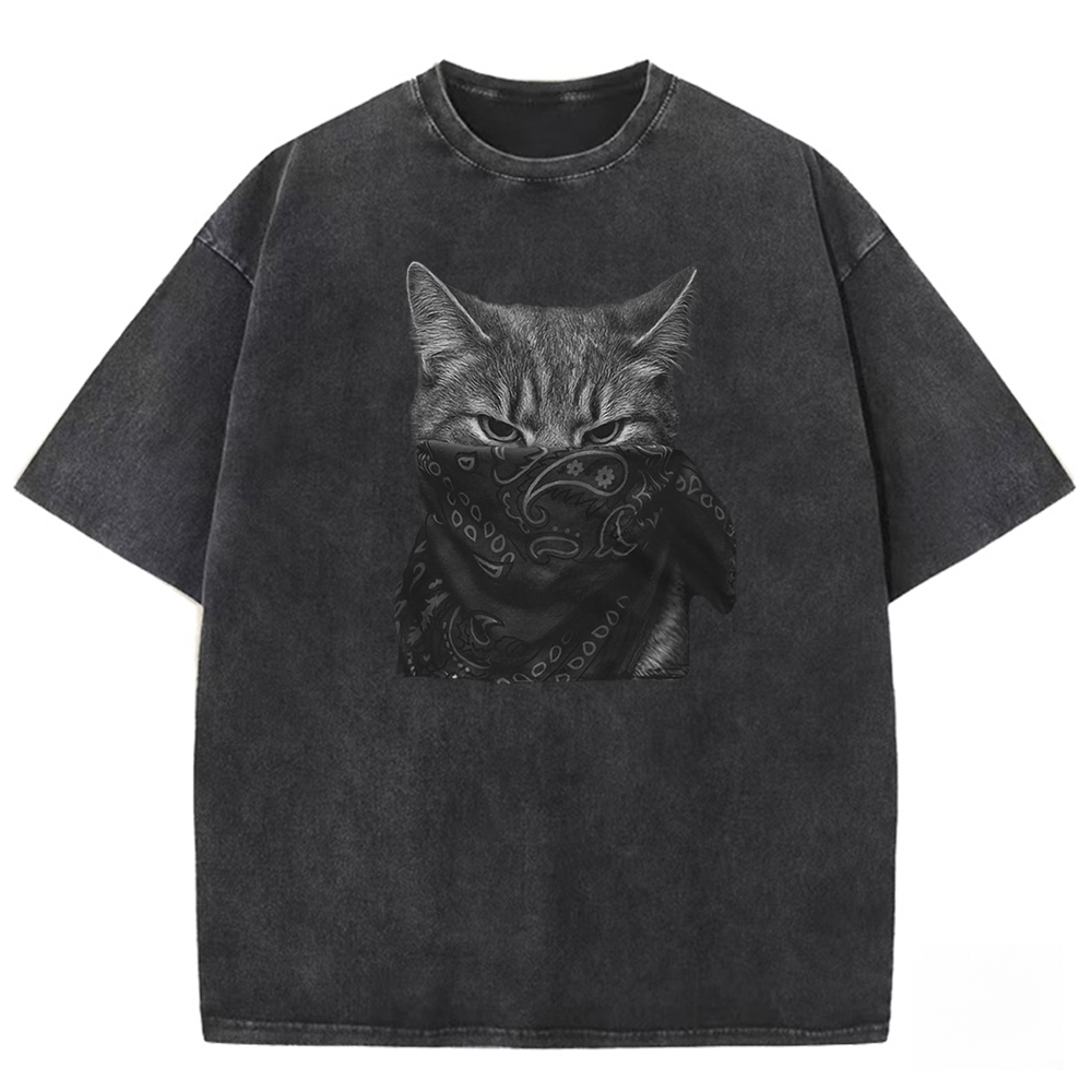 Mystic Feline Veil Washed T-shirt