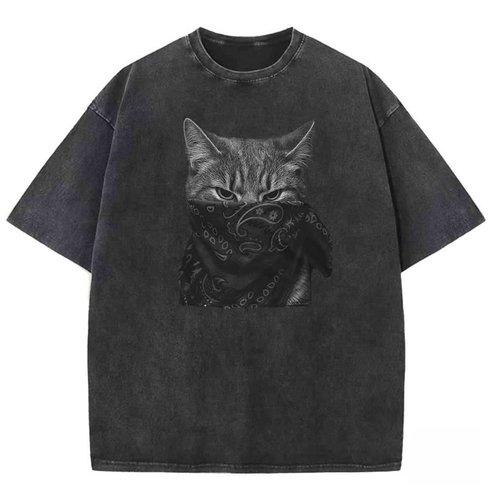 Mystic Feline Veil Washed T-shirt
