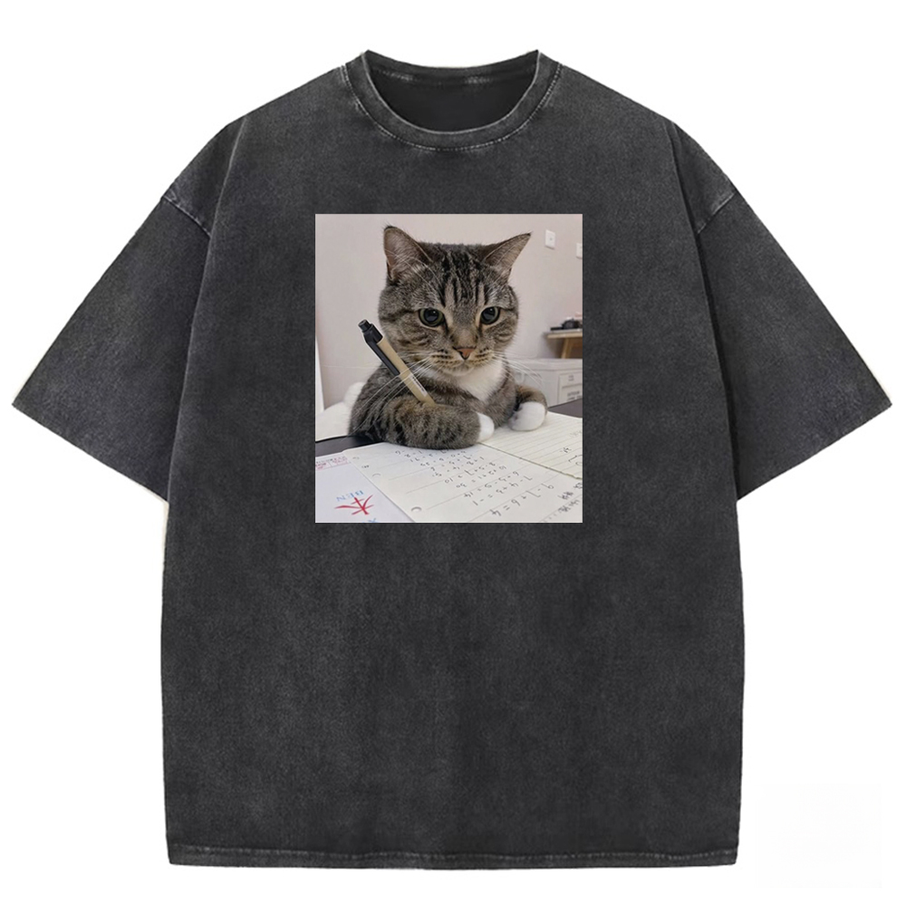 Scholarly Striped Scribe Washed T-shirt